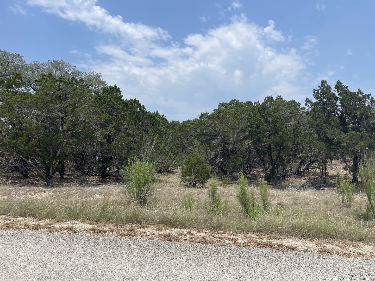 908 Serene Spring Branch TX 78070