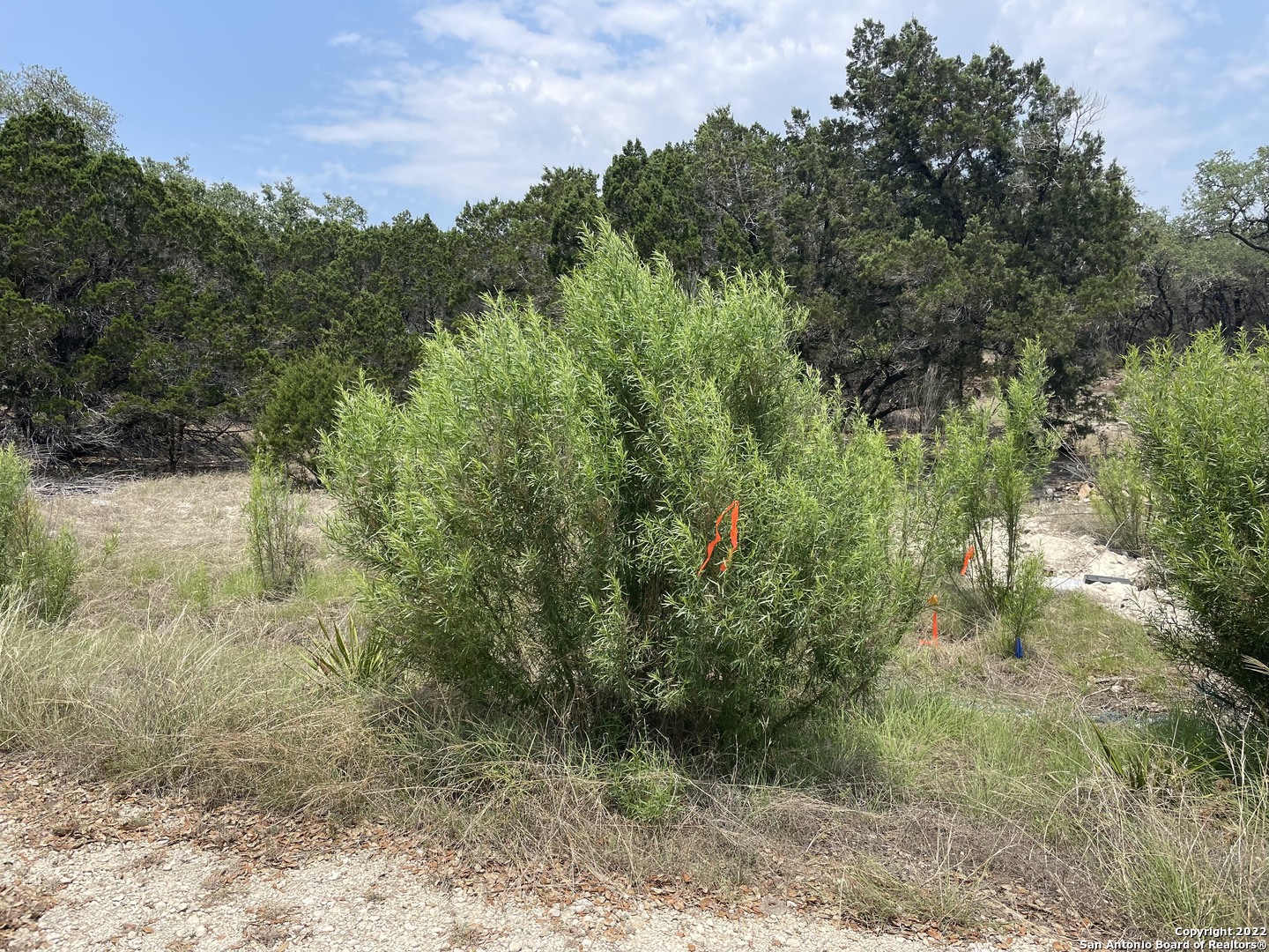 908 Serene Spring Branch TX 78070