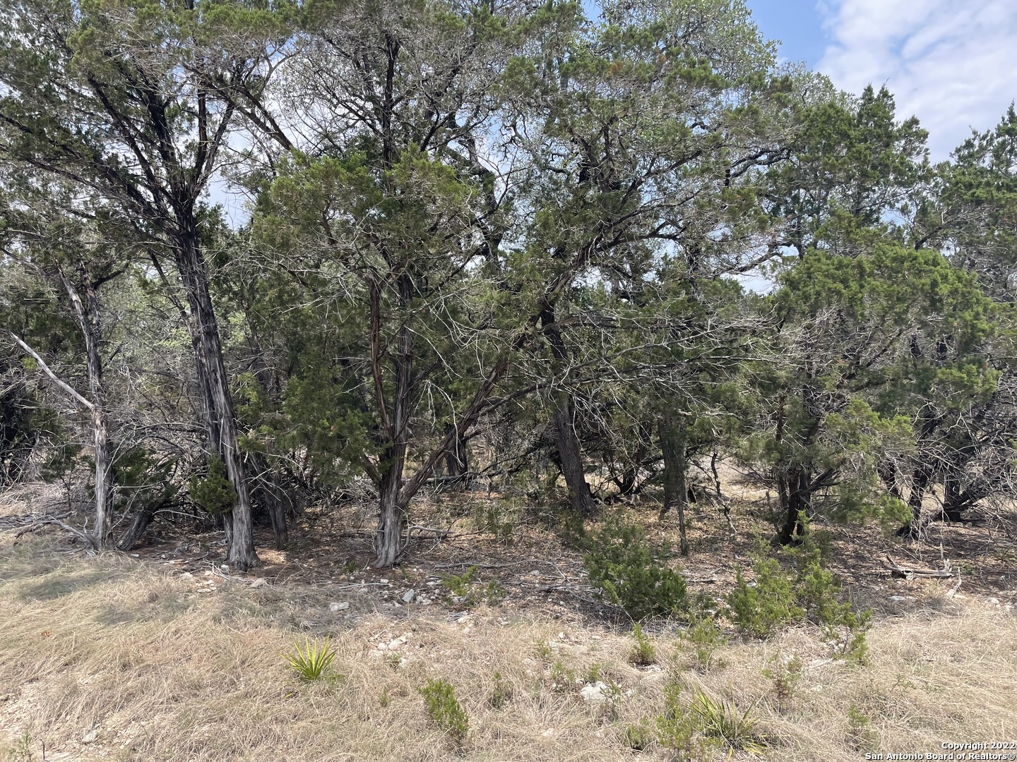 908 Serene Spring Branch TX 78070