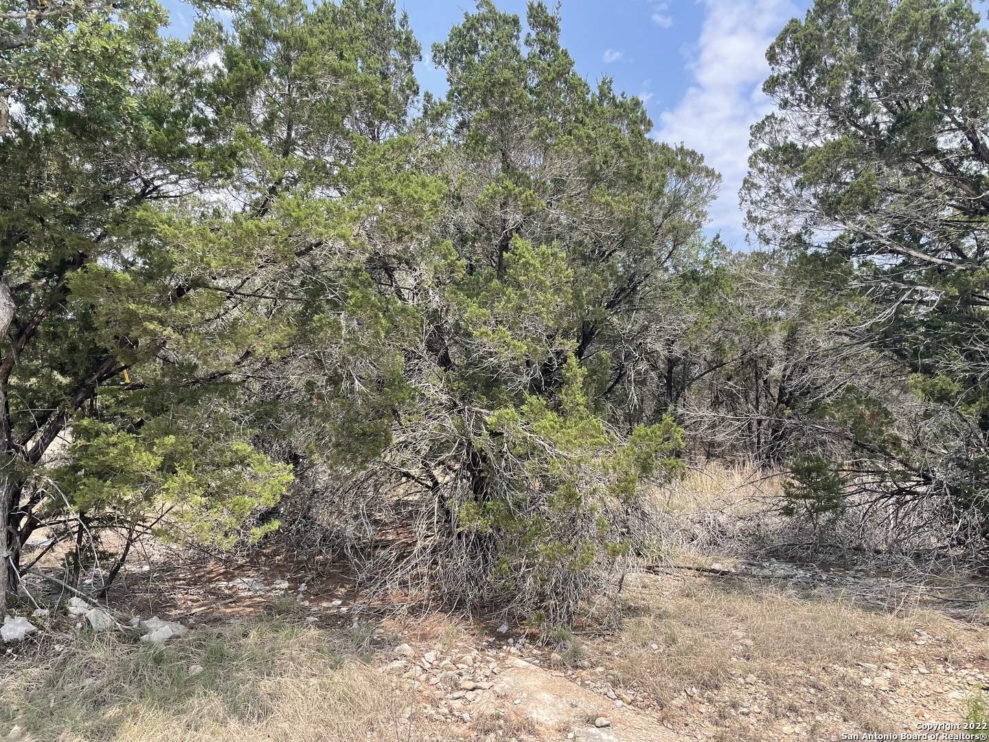 908 Serene Spring Branch TX 78070