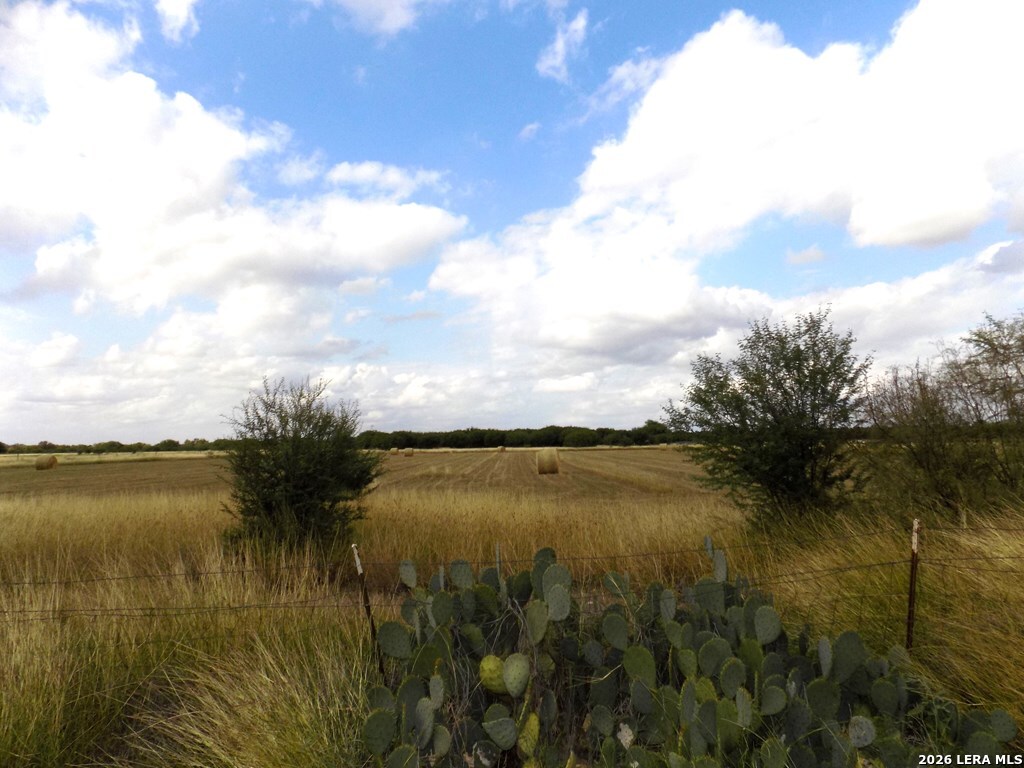 1175 Moses Road Quemado TX 78877