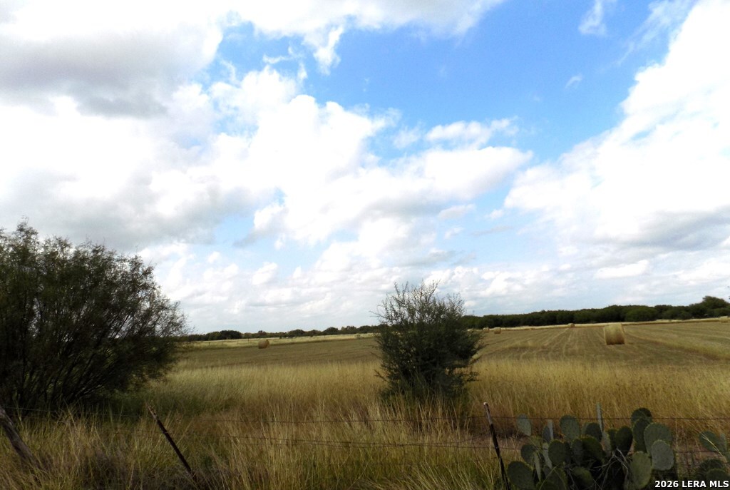 1175 Moses Road Quemado TX 78877