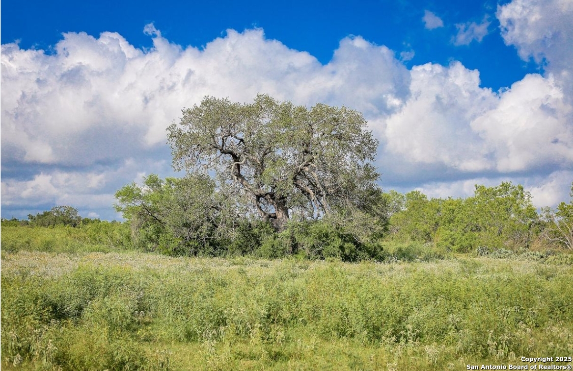 10454 S Foster Road San Antonio TX 78223
