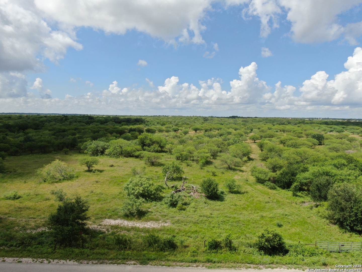 Tract 2 County Road 207 Hobson TX 78117