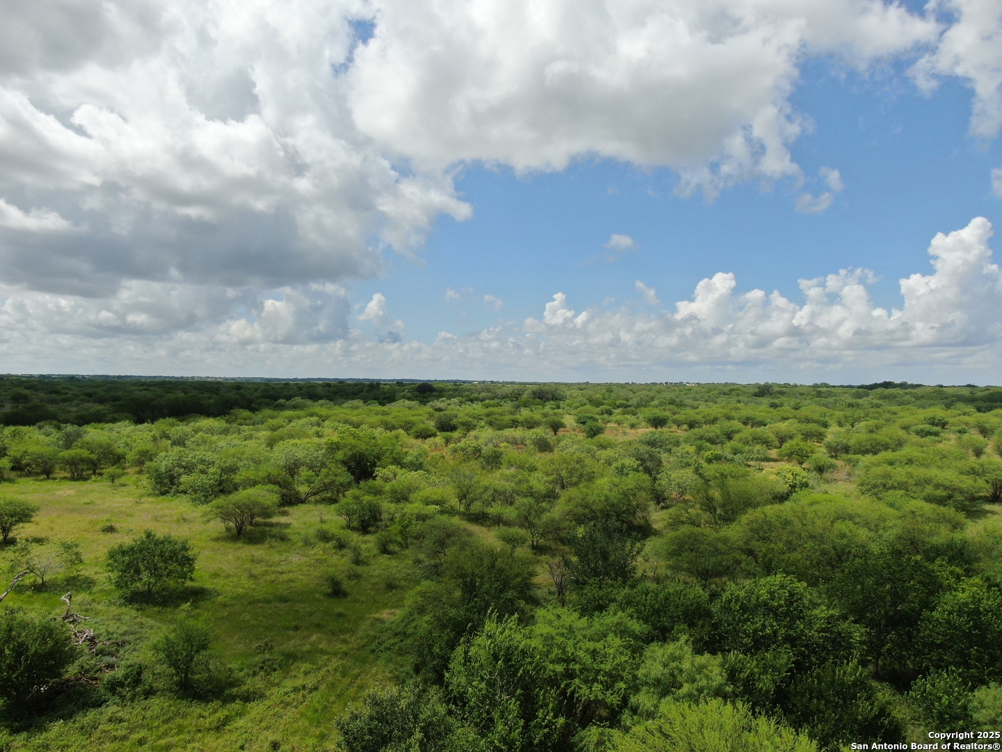 Tract 2 County Road 207 Hobson TX 78117