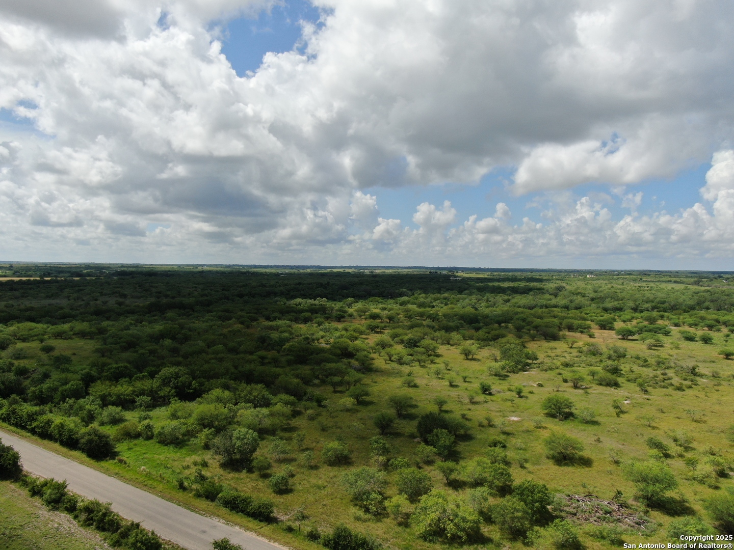 Tract 2 County Road 207 Hobson TX 78117