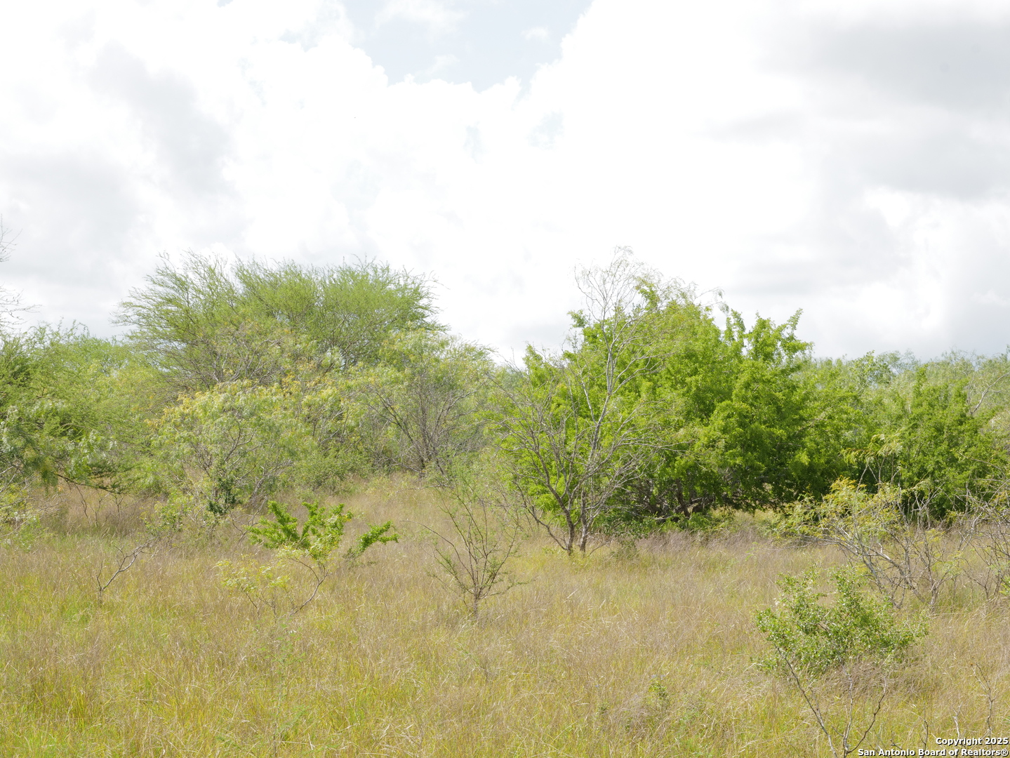 Tract 2 County Road 207 Hobson TX 78117