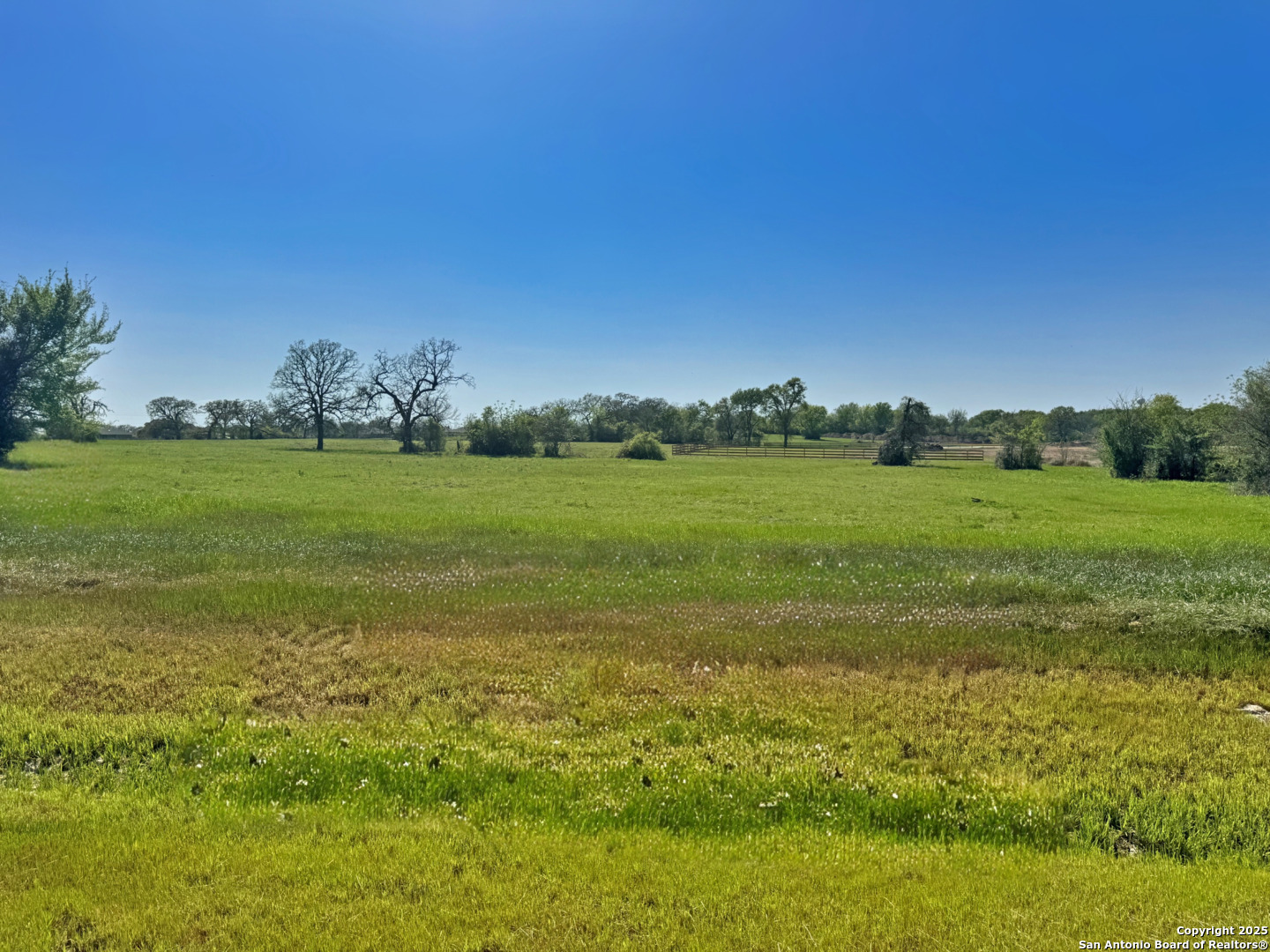 10237 Panther Creek Drive Iola TX 77861