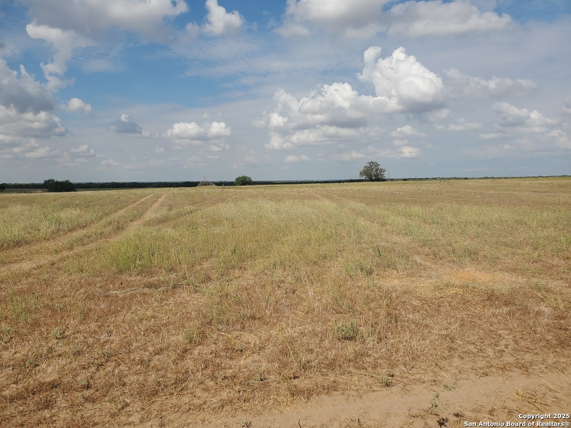 7887 County Road 2400 Moore TX 78057