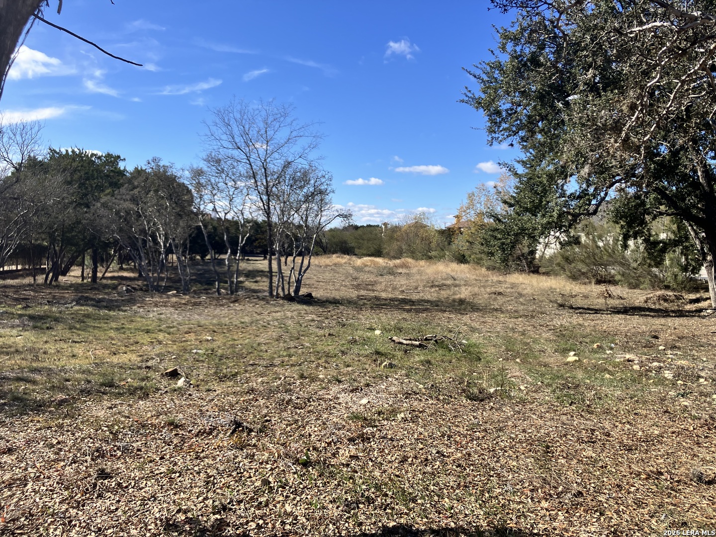 215 Wellesley Landing Shavano Park TX 78231