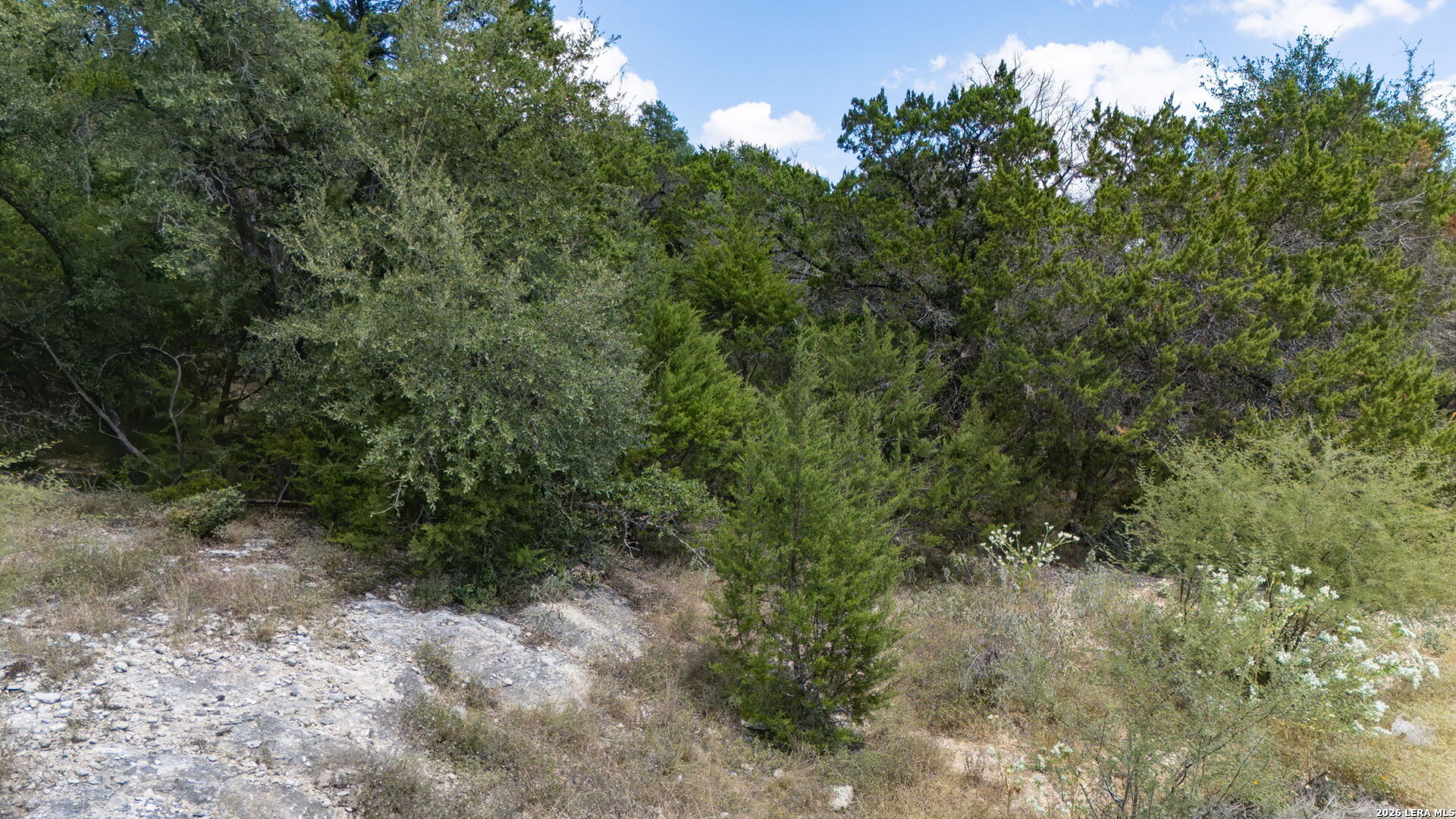25629 Mount Rhapsody San Antonio TX 78260