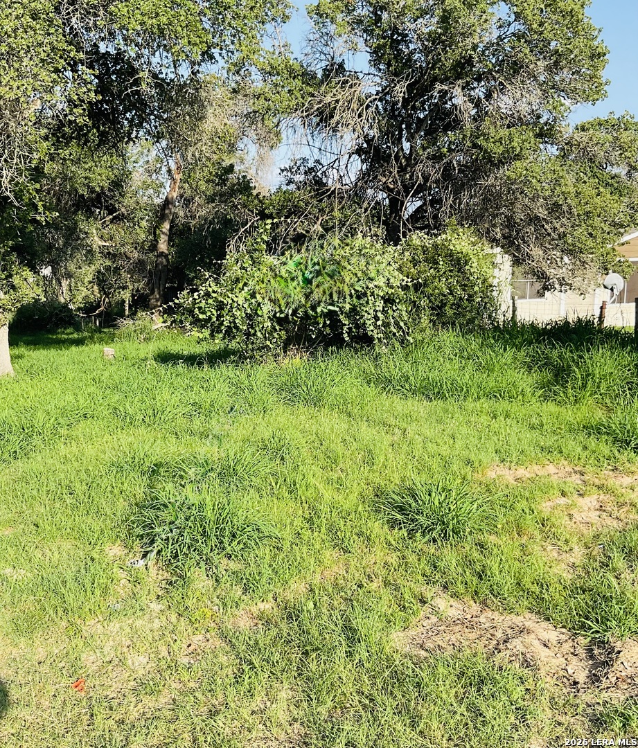 127 Little Creek Drive Floresville TX 78114