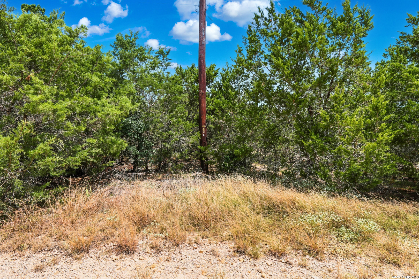 Tbd Rebecca Creek Park Third Filing Lot 8 Spring Branch TX 78070