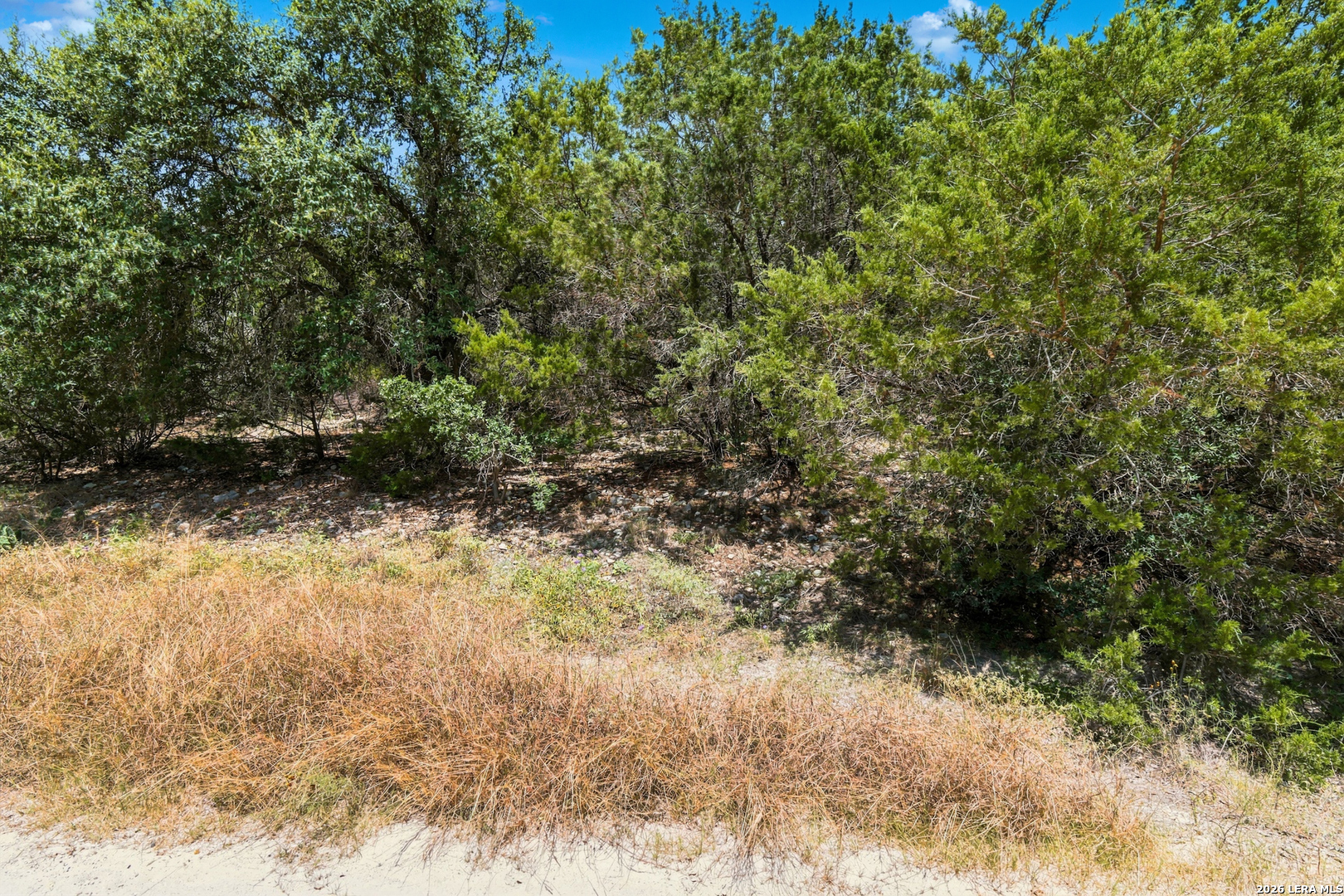 Tbd Rebecca Creek Park Third Filing Lot 8 Spring Branch TX 78070