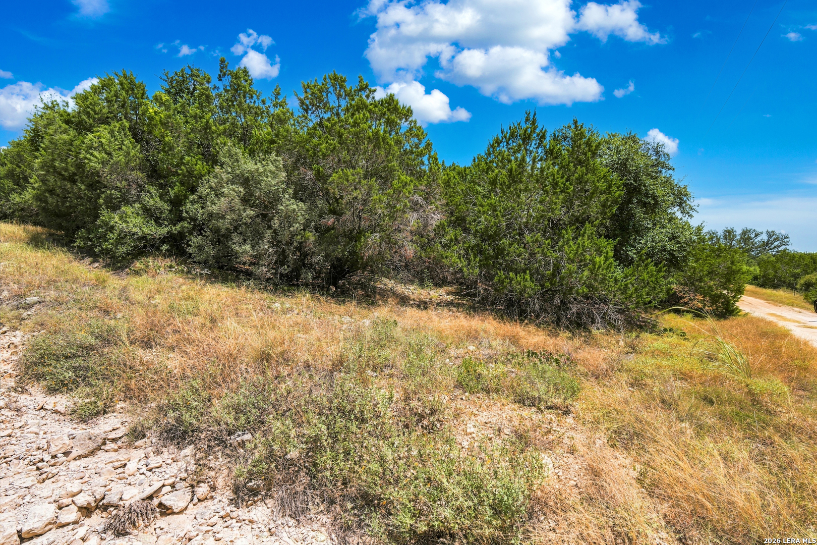 Tbd Rebecca Creek Park Third Filing Lot 8 Spring Branch TX 78070