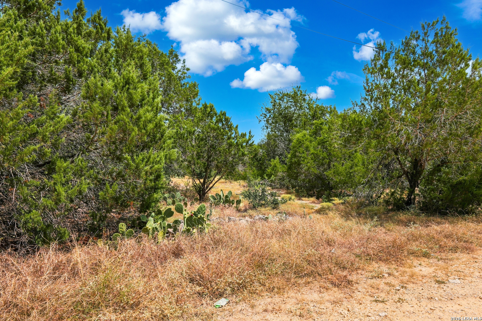 Tbd Rebecca Creek Park Third Filing Lot 8 Spring Branch TX 78070