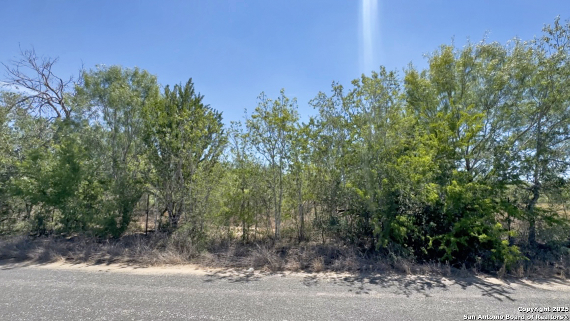 P-9C Quesenberry Road Von Ormy TX 78073