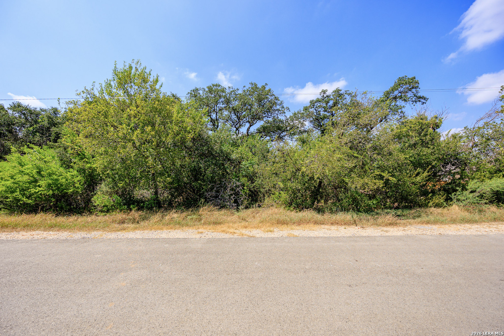 15416 Rhodius Lane Selma TX 78154