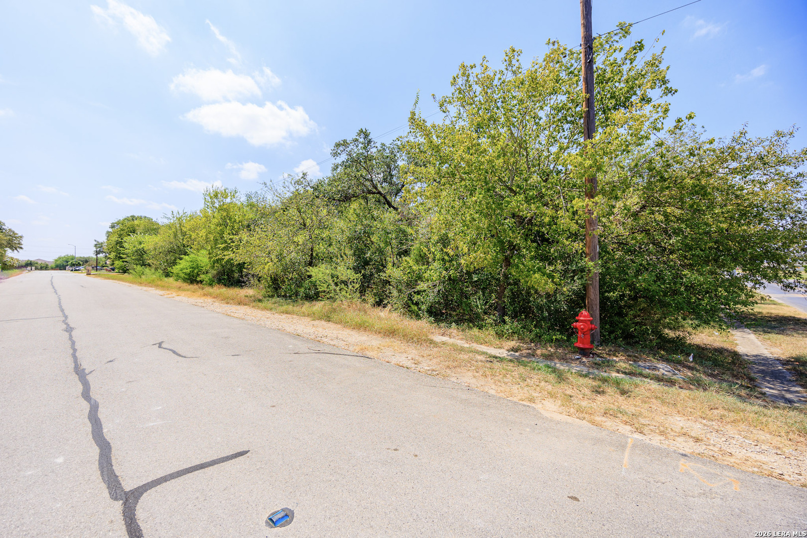 15416 Rhodius Lane Selma TX 78154