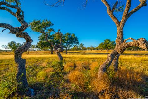 0 Golden Hour Ranch Johnson City TX 78636