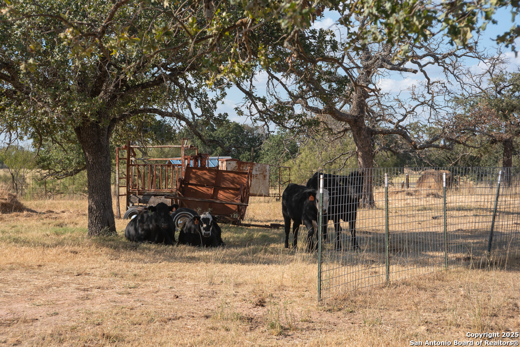 Tbd Blackjack Road Mason TX 76842