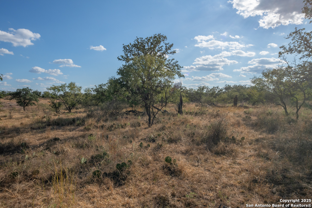 Tbd Blackjack Road Mason TX 76842