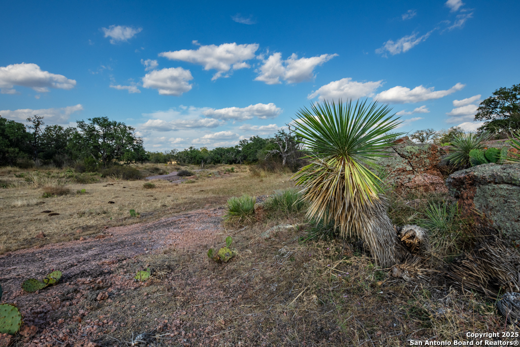 Tbd Blackjack Road Mason TX 76842