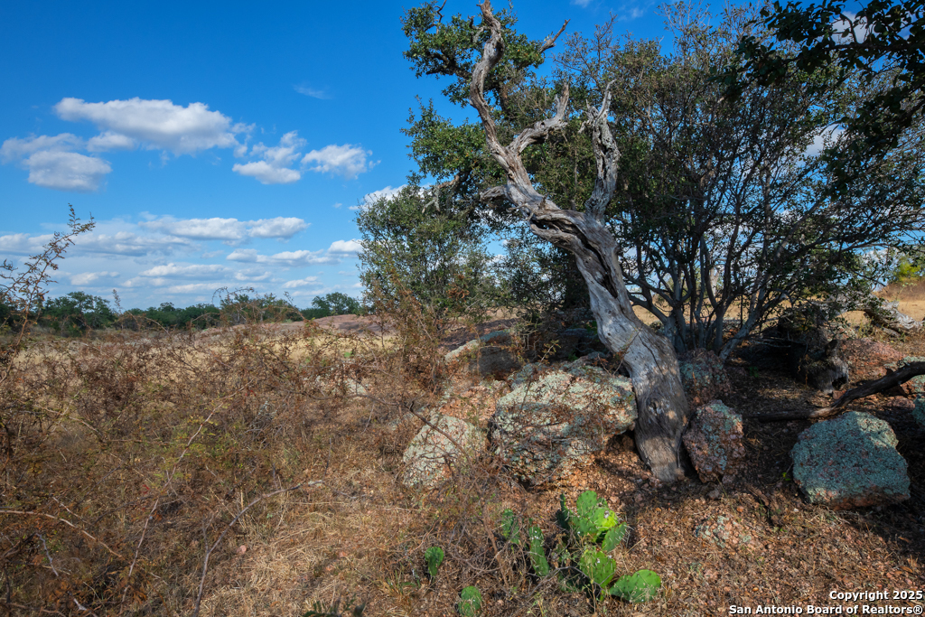 Tbd Blackjack Road Mason TX 76842