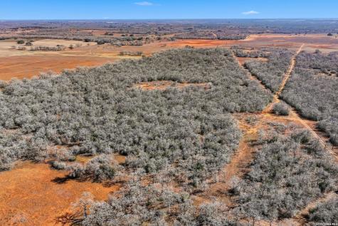 1895 County Road 448 Stockdale TX 78160