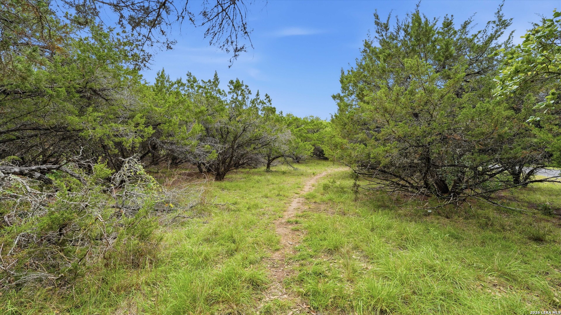 26214 Misty Point San Antonio TX 78260