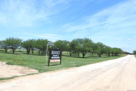 16020 Us Highway 87 Adkins TX 78101
