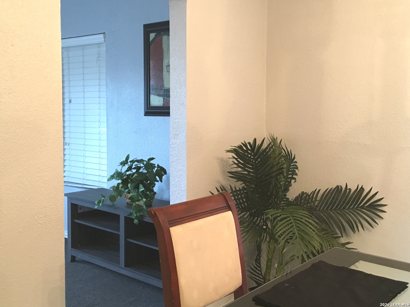 123 W Mitchell San Antonio TX 78204