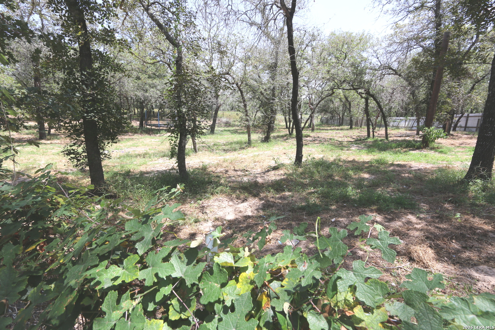 76 & 76b Post Oak La Vernia TX 78121