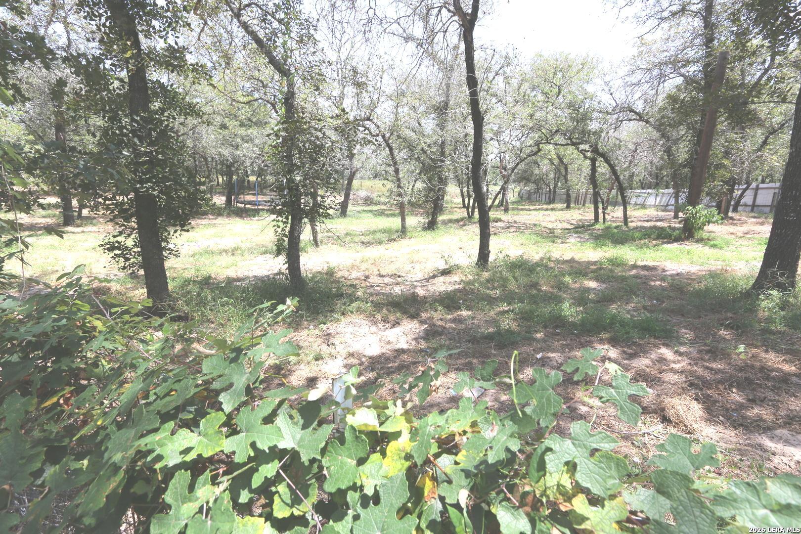 76 & 76b Post Oak La Vernia TX 78121