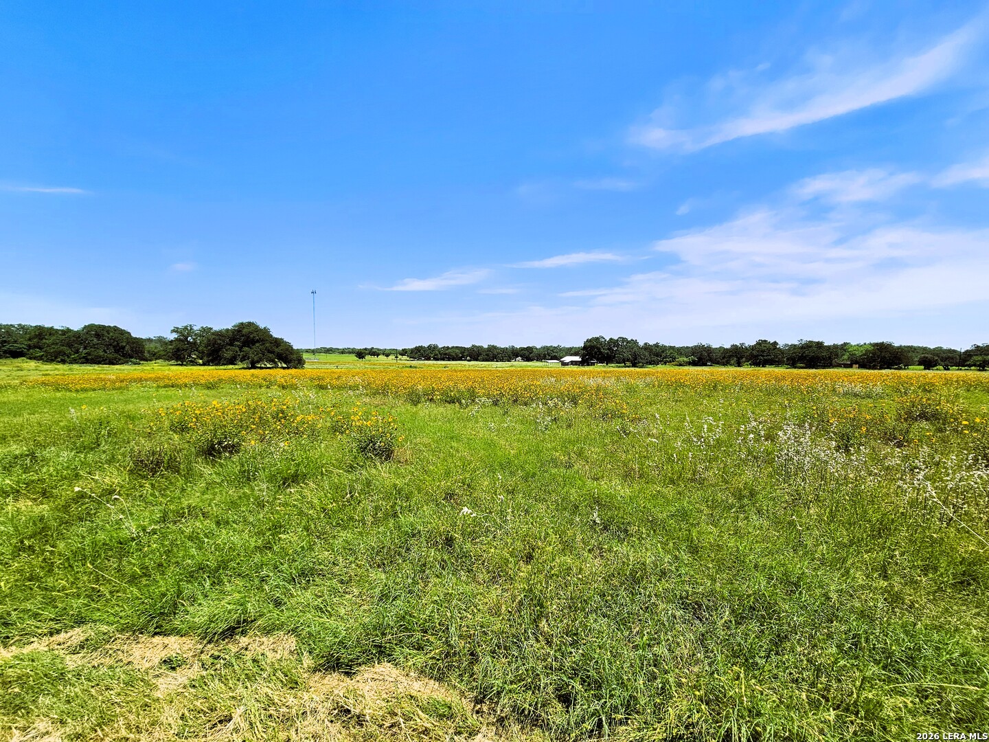 799 County Road 6612 Devine TX 78016