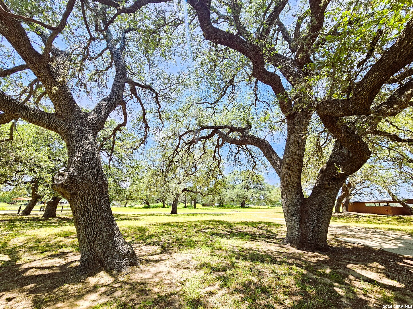 799 County Road 6612 Devine TX 78016
