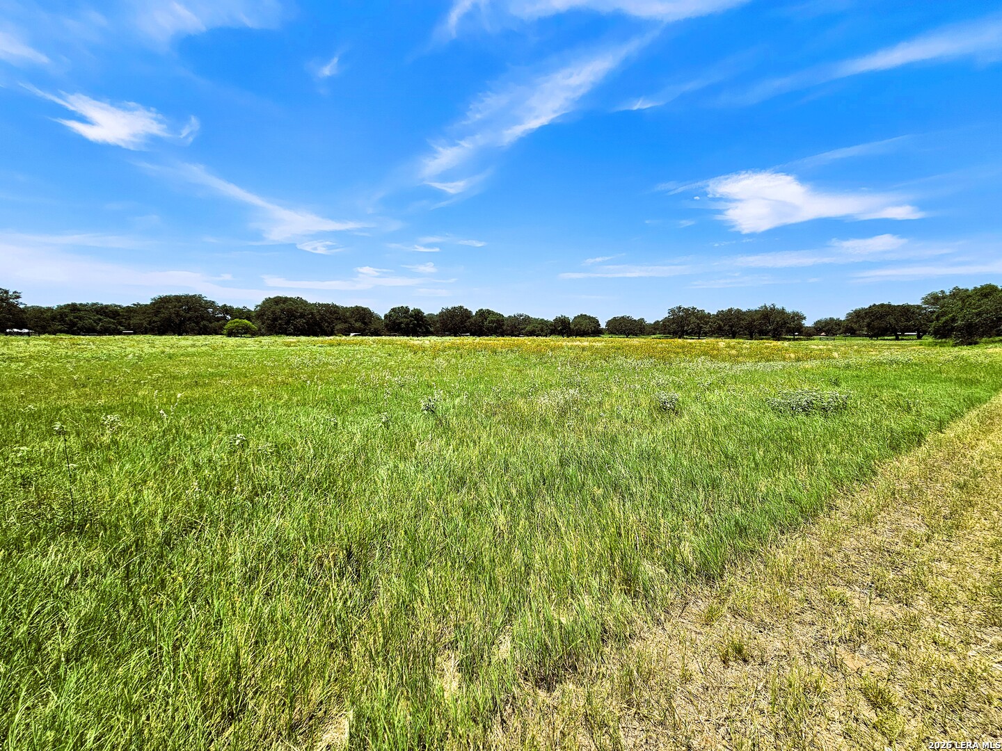 799 County Road 6612 Devine TX 78016