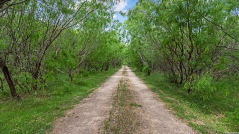 1911 Wald New Braunfels TX 78132