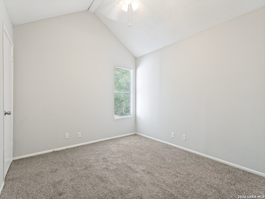7519 Windsor Oaks San Antonio TX 78239