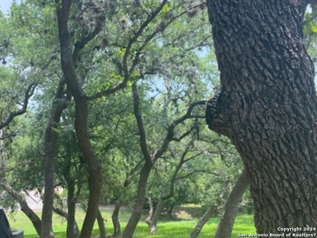 1639 Rob Roy Lane San Antonio TX 78251
