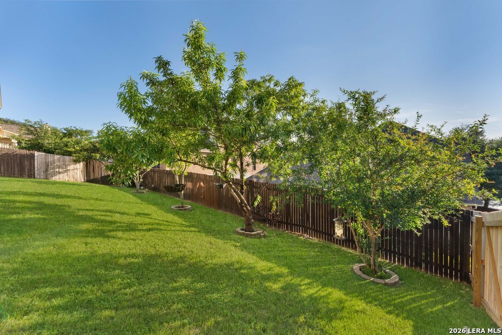 21719 Eden Rose Hill San Antonio TX 78256