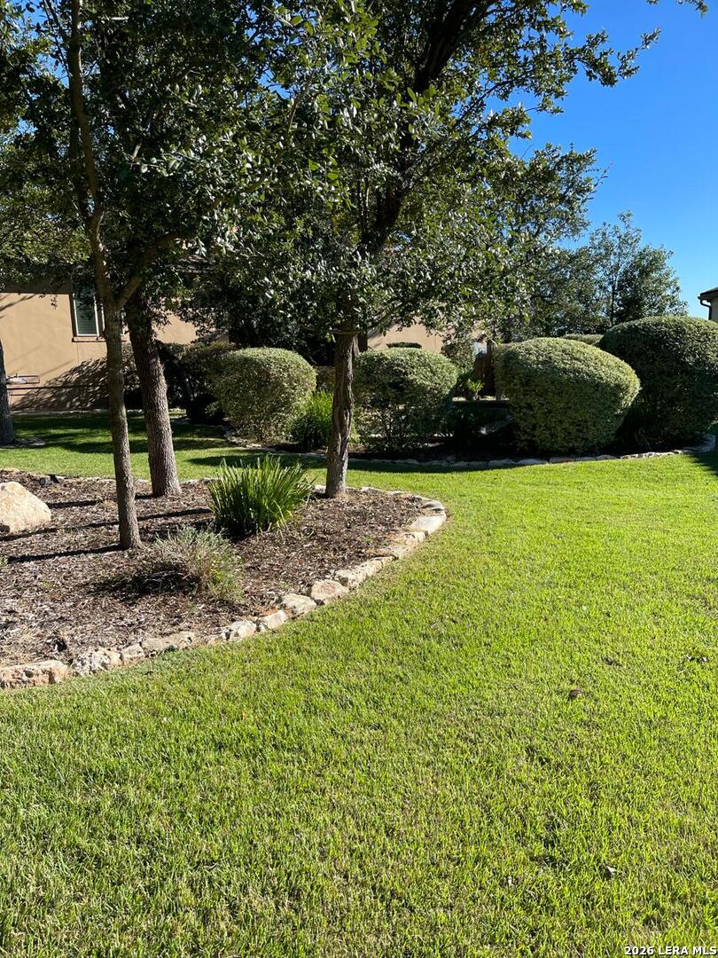 22923 Entiempo San Antonio TX 78261