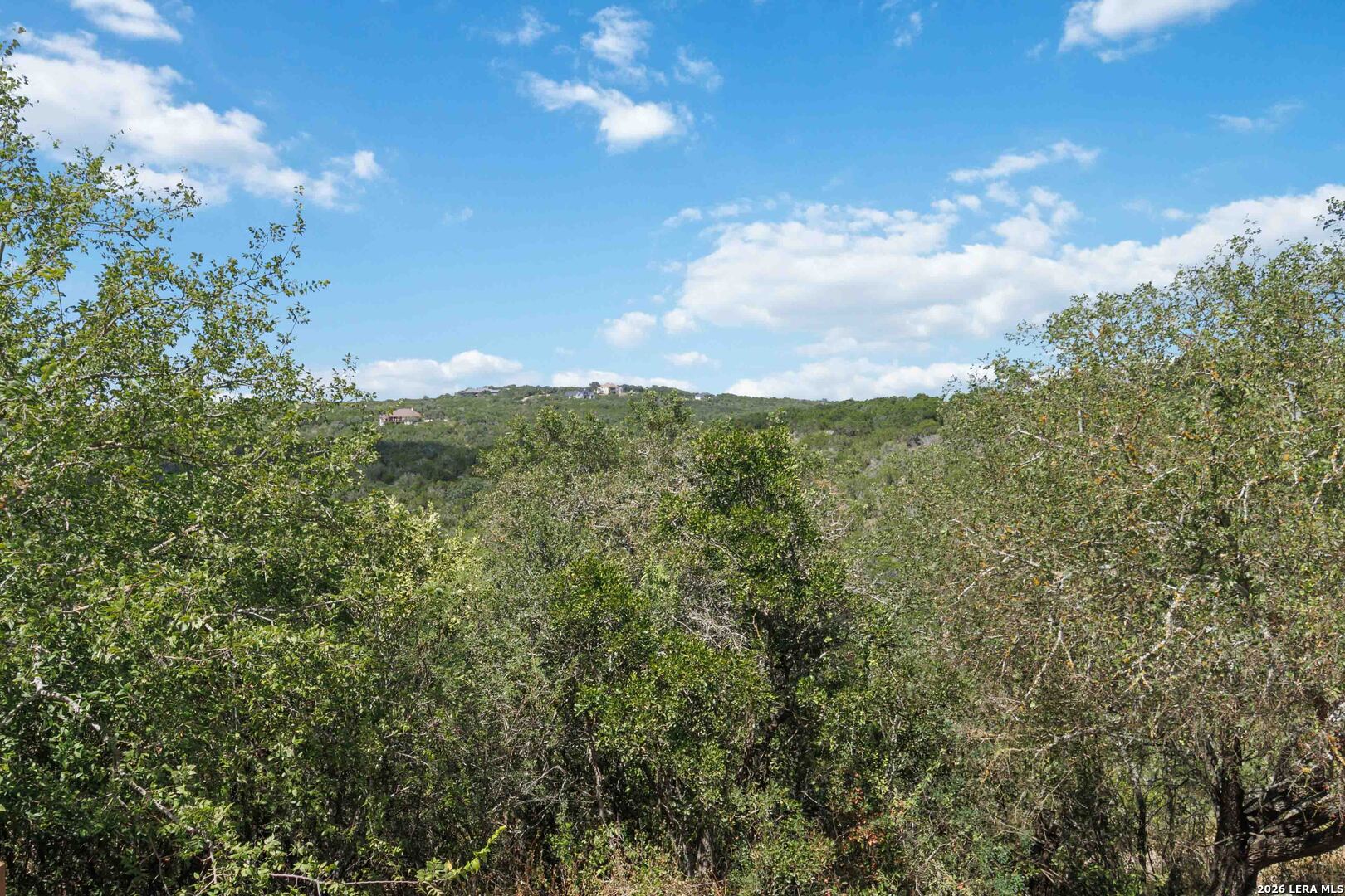 410 County Road 2748 Mico TX 78056