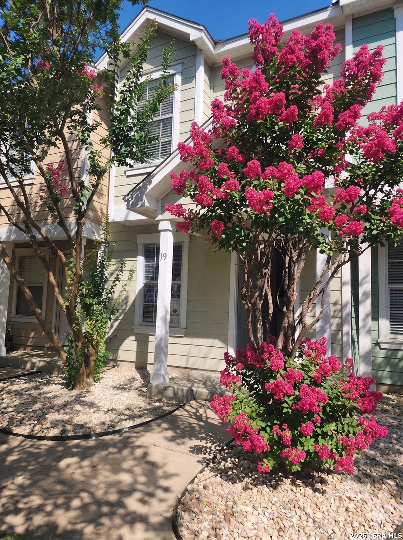 19 Autumn Pass San Antonio TX 78245