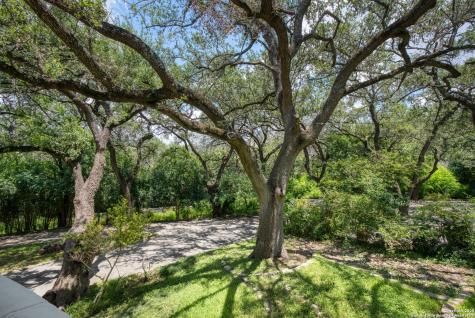 5351 Fredericksburg San Antonio TX 78229