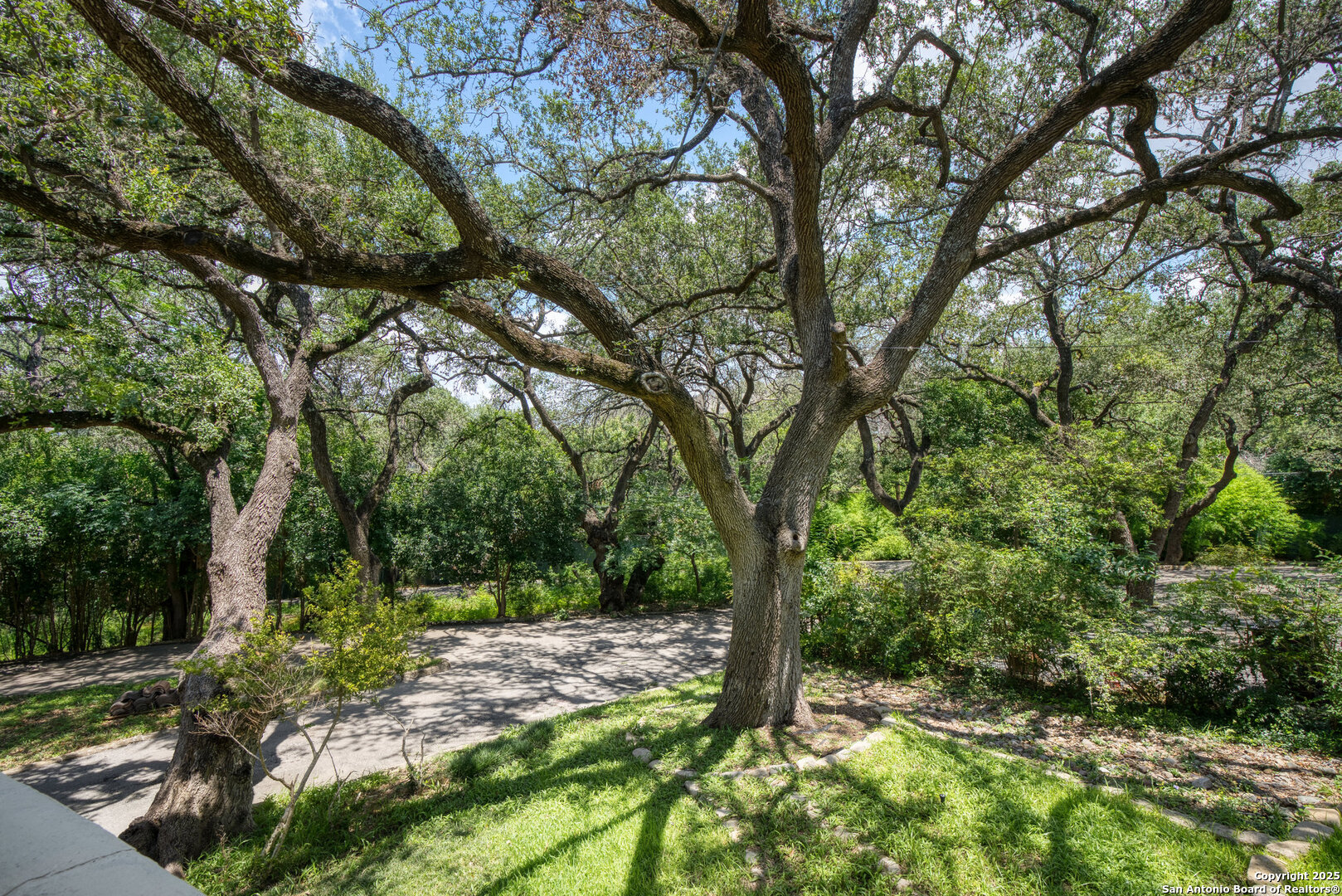 5351 Fredericksburg San Antonio TX 78229