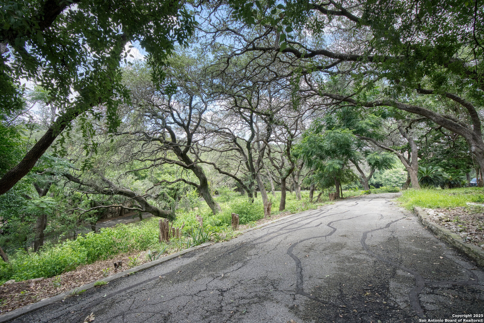 5351 Fredericksburg San Antonio TX 78229