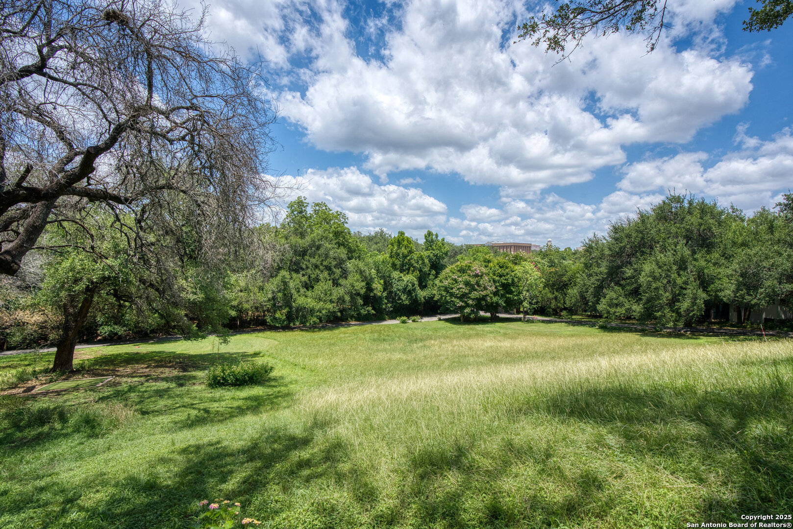 5351 Fredericksburg San Antonio TX 78229