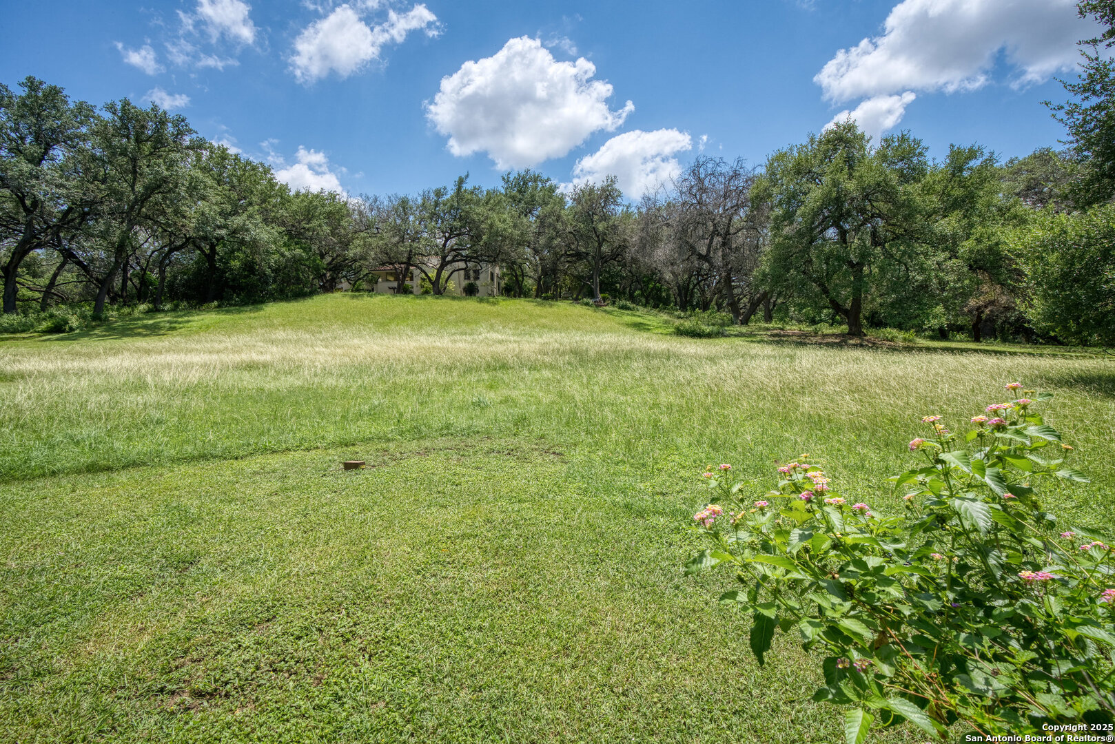 5351 Fredericksburg San Antonio TX 78229
