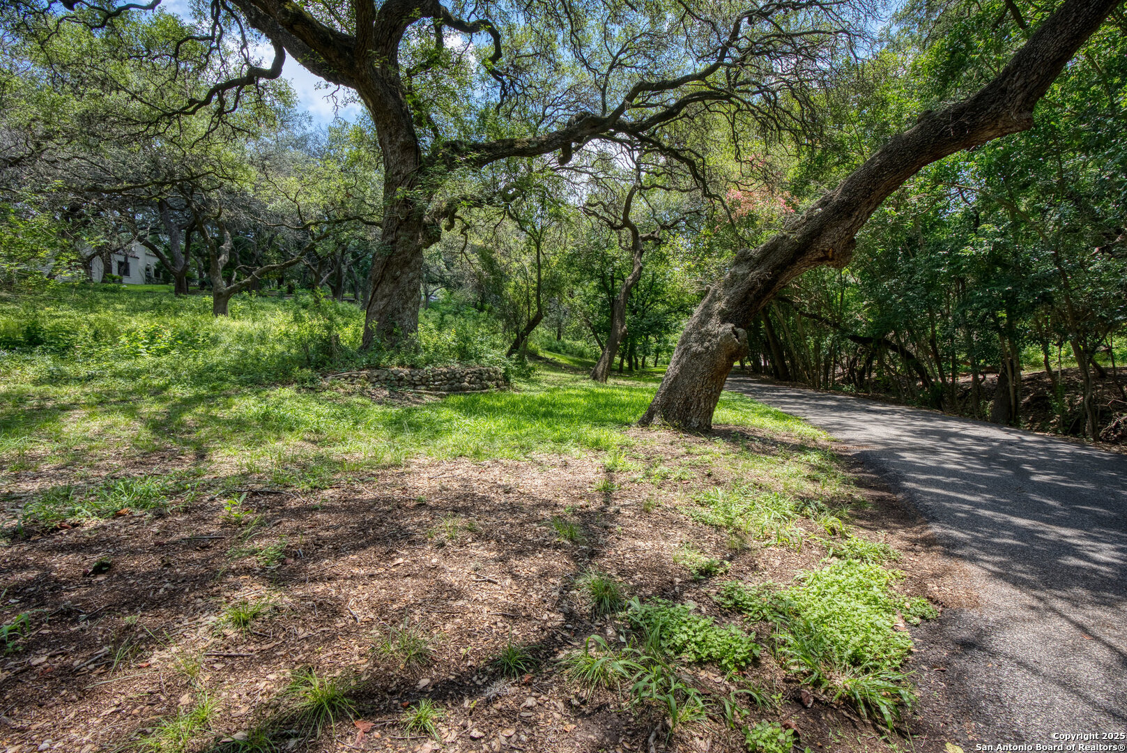 5351 Fredericksburg San Antonio TX 78229
